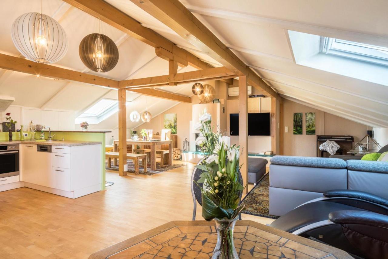 Luxurioeses Penthouse-Appartement Höchst Eksteriør bilde